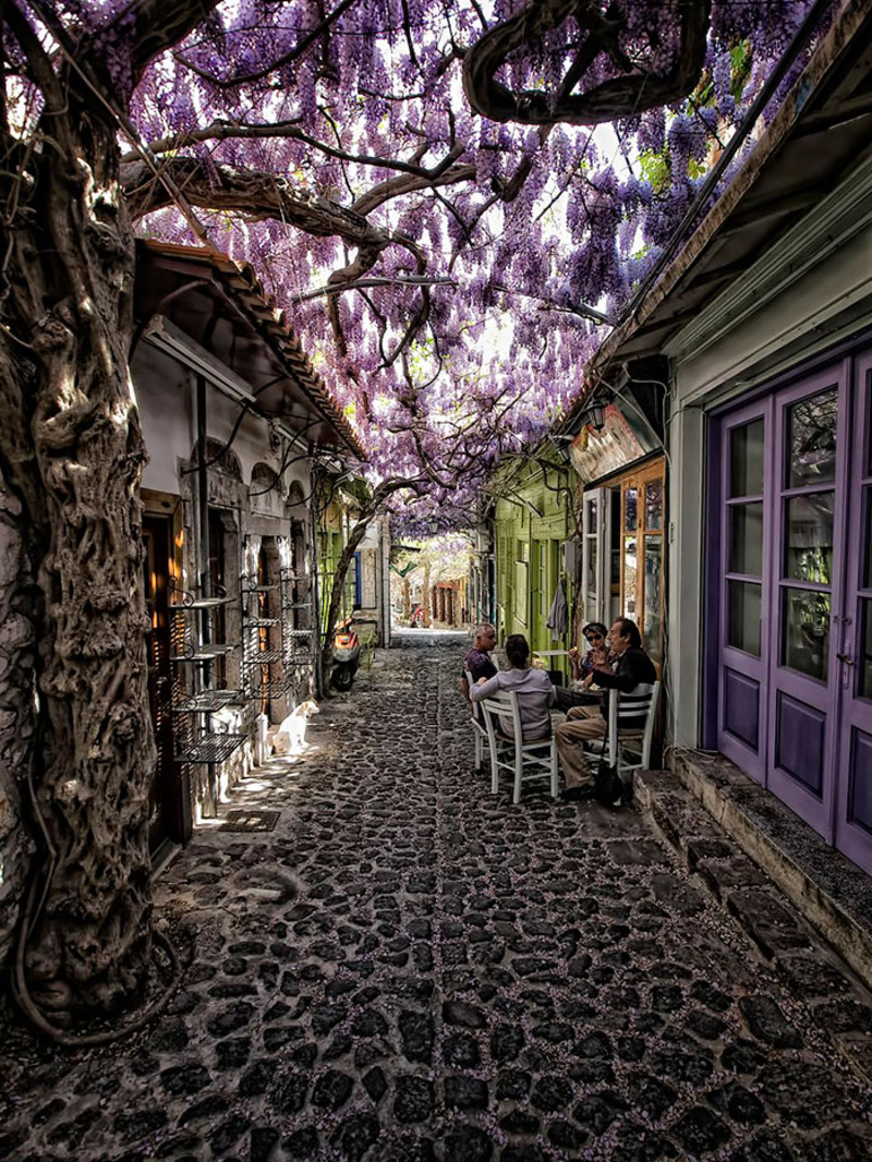 Molyvos, Isola di Lesvos