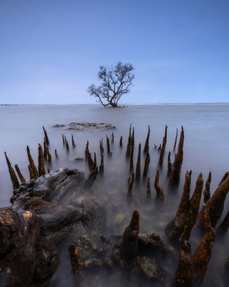 Menzione d'onore Landscape