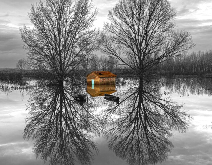Riflessi